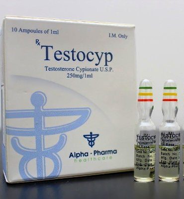 Testosterone Cypionate 10 ampolas (250mg/ml) online by Alpha Pharma, Watson analogue