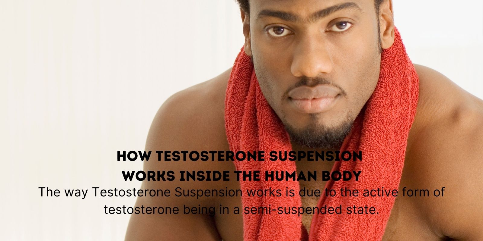 Como a suspensão de testosterona funciona dentro do corpo humano